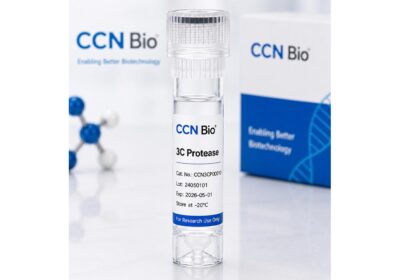 3C Protease