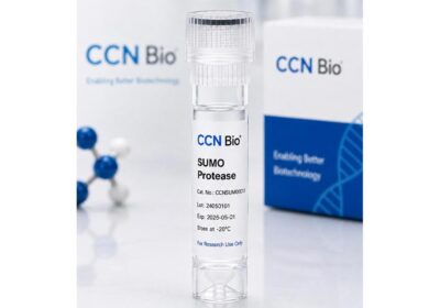 Micrococcal Nuclease