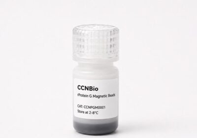 rProtein G Magnetic Beads